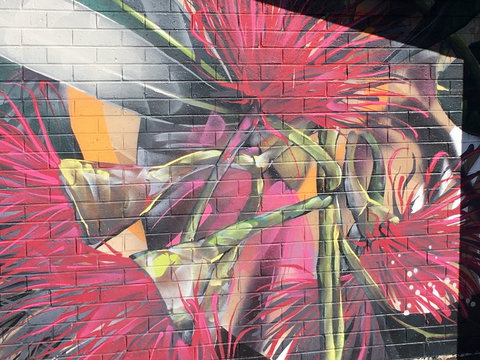 Mokoan Rest Stop Northbound - Surfers Gold Coast 0