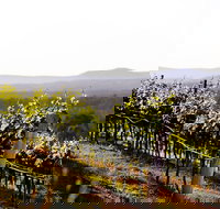 Mount View - Surfers Gold Coast