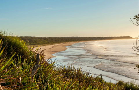 Narrawallee Creek Nature Reserve - Surfers Gold Coast 0
