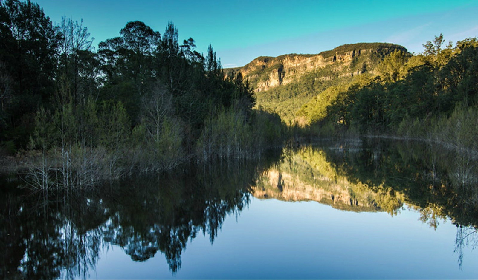 Wattle Ridge NSW Surfers Gold Coast