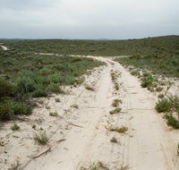 Ngarkat Conservation Park - Surfers Gold Coast