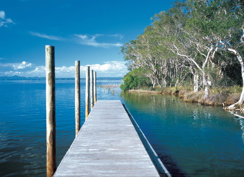 Noosa Everglades - Surfers Gold Coast 1