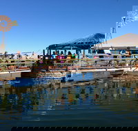 Ocean Park Aquarium - Surfers Gold Coast