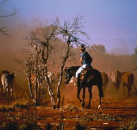 Outback Heritage and Coal Adventure - Surfers Gold Coast