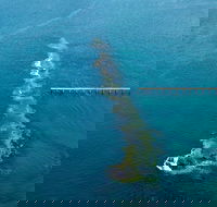 Port Noarlunga Reef Sanctuary Zone - Encounter Marine Park - Surfers Gold Coast