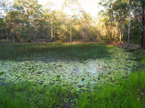 Raysource Road - Surfers Gold Coast 2