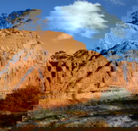 Red Banks Conservation Park - Surfers Gold Coast