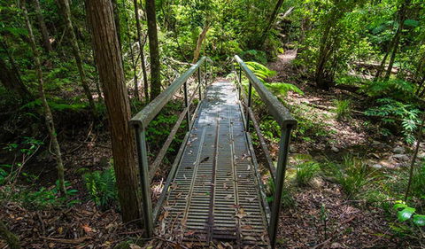 Rocky Crossing Walk - Surfers Gold Coast 0