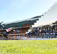 Rosehill Gardens Racecourse - Surfers Gold Coast