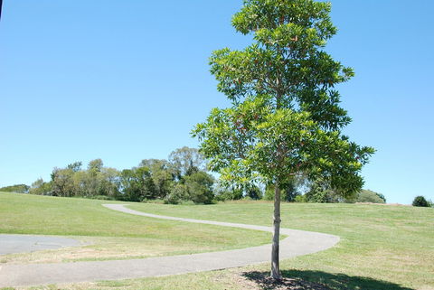 Samford Valley Rail Trail - Surfers Gold Coast 2