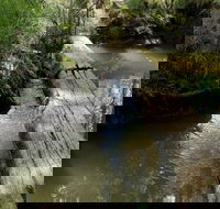 Second Ponds Creek Walk - Surfers Gold Coast