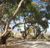 Spring Gully Conservation Park - Surfers Gold Coast
