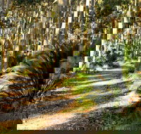 Square Head Track 2 - Surfers Gold Coast