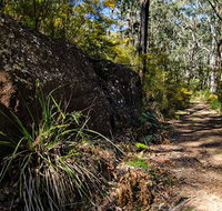 Starlights Trail - Surfers Gold Coast