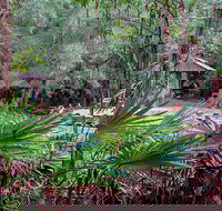 Sugar Creek Picnic Area - Surfers Gold Coast