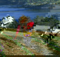 Tas-Saff - Surfers Gold Coast