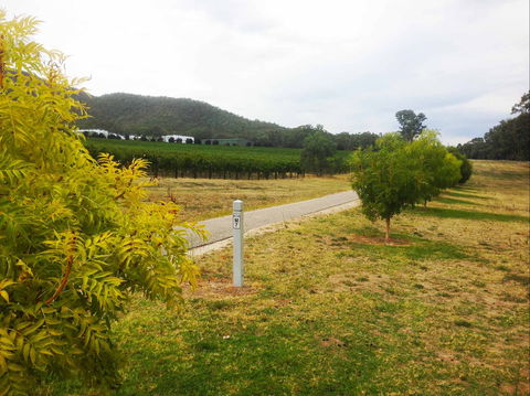 Taylors Gap To Myrtleford 10.5 Km - Surfers Gold Coast 2