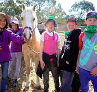 The Saddle Camp - Surfers Gold Coast