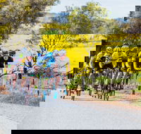 The Heron's Highway - Avon River Cycle Trail - Surfers Gold Coast