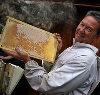 The House of Honey - Surfers Gold Coast