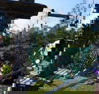 Trees Adventure - Lane Poole Park - Surfers Gold Coast