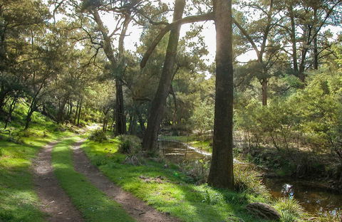 Turon National Park - Surfers Gold Coast 0