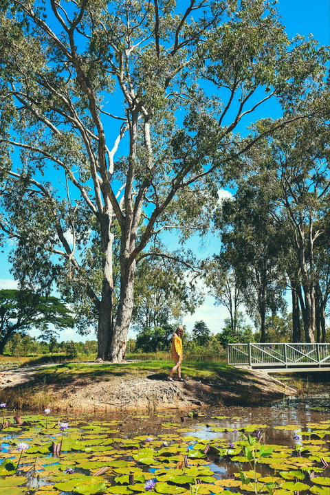TYTO Wetlands - Surfers Gold Coast 1