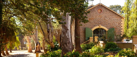 Vasse Virgin - Surfers Gold Coast 0
