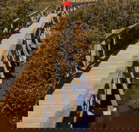 Warringine Park  Bittern Coastal Wetlands Boardwalk - Surfers Gold Coast