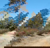 Werakata National Park - Surfers Gold Coast