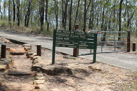 Wild Horse Mountain Lookout - Surfers Gold Coast 1