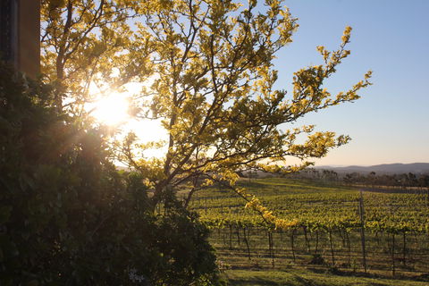 Wine Trail: Queanbeyan-Palerang - Surfers Gold Coast 1