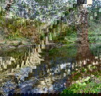 Woko National Park - Surfers Gold Coast