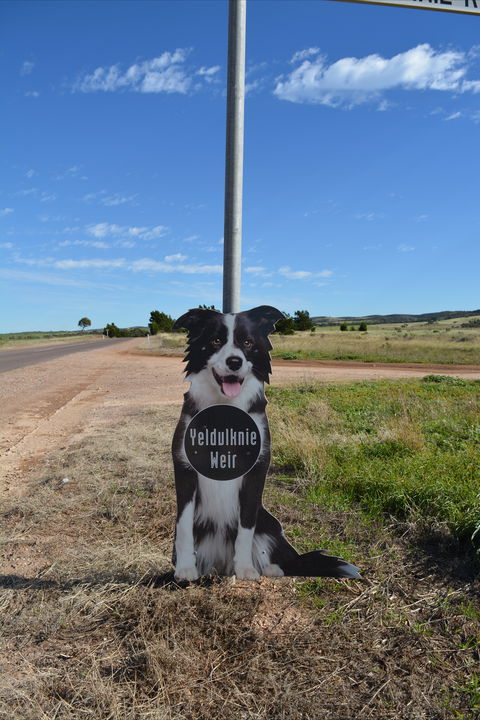 Yeldulknie Weir & Reservoir - Surfers Gold Coast 0