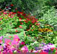 Alma Park - Surfers Gold Coast