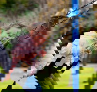 Apex Park Moree - Surfers Gold Coast