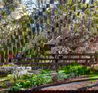 Armadale - Surfers Gold Coast