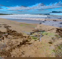Avenue Beach - Surfers Gold Coast