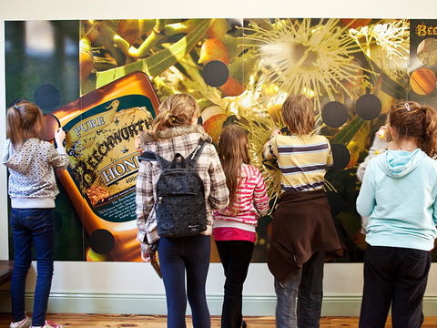 Beechworth Honey Shop - Surfers Gold Coast 2