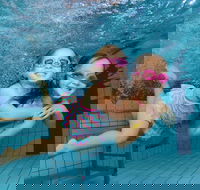 Blacktown Aquatic Centre - Surfers Gold Coast