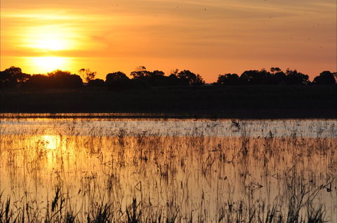Bool Lagoon Game Reserve And Hacks Lagoon Conservation Park - Surfers Gold Coast 0