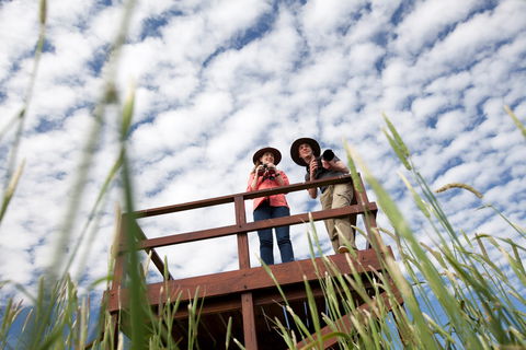 Bool Lagoon Game Reserve And Hacks Lagoon Conservation Park - Surfers Gold Coast 1