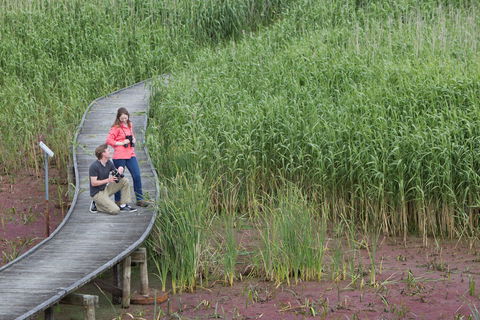 Bool Lagoon Game Reserve And Hacks Lagoon Conservation Park - Surfers Gold Coast 2