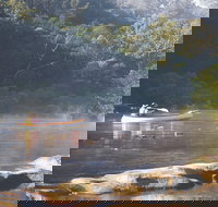 Brogo - Surfers Gold Coast