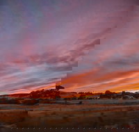 Cape Jervis - Surfers Gold Coast