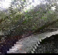 Carole Green Walkway - John Oxley Reserve - Surfers Gold Coast