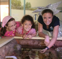 Central Coast Marine Discovery Centre - Surfers Gold Coast