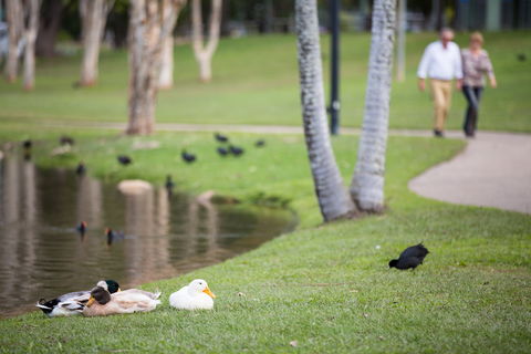 Centenary Lakes Park - Surfers Gold Coast 2