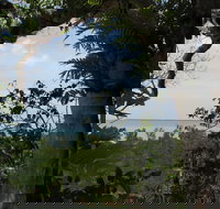 Channel Point Coastal Reserve - Surfers Gold Coast