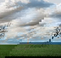 Clare Valley - Surfers Gold Coast